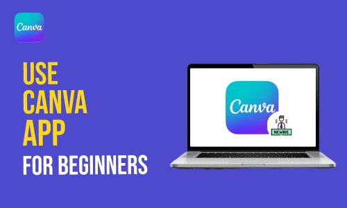How to Use Canva App For Beginners